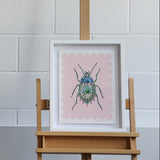Beetle - Coral - Framed Artwork - Kristjana S Williams Studio