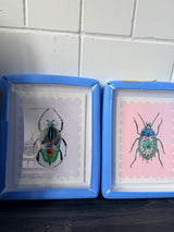 Beetle - Coral - Framed Artwork - Kristjana S Williams Studio