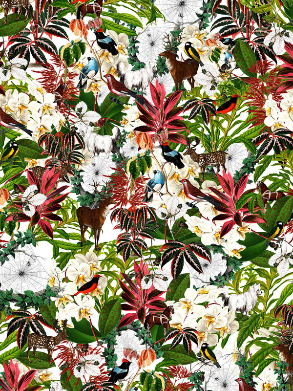 House Plant Wallpaper - Kristjana S Williams Studio