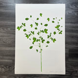 Remote Islands Pressed Flowers - Artist Proof