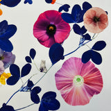 Blue Tree Pressed Flowers - Artist Proof