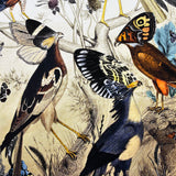 Fimm Fuglar - Artist Proof