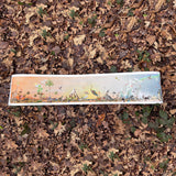 Solar Frost: View of Nature - Art Print - Kristjana S Williams Studio