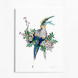 Flora & Fauna Lear - Crystal Blue - Art Print - Kristjana S Williams Studio