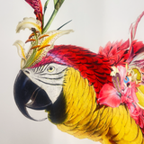 Botanical Harry Gin Bird II – Red & Gold - Kristjana S Williams Studio