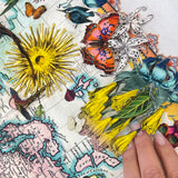 Navigators of the World - Zebra - 3D Hybrid Artwork