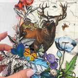 Navigators of the World - Zebra - 3D Hybrid Artwork - Kristjana S Williams Studio