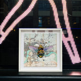 Carnabee - Art Print - Kristjana S Williams Studio