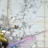 Carnabee - Art Print - Kristjana S Williams Studio