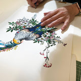 Flora & Fauna Lear - Crystal Blue - Art Print - Kristjana S Williams Studio