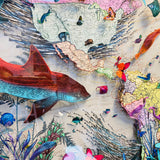 Circular Silvery Saer - Blacktip Shark | Original Artwork 2021 | Kristjana S Williams