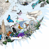 Klakinn & Amerika - Circular Map - Art Print - Kristjana S Williams Studio