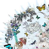 Klakinn & Evropa - Circular Map - Art Print - Kristjana S Williams Studio