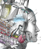 Navigating Draumaland - Art Print - Kristjana S Williams Studio