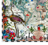 Navigators' Tracks & Discoveries of the World - Art Print - Kristjana S Williams Studio