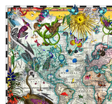 Navigators' Tracks & Discoveries of the World - Art Print - Kristjana S Williams Studio