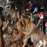 Primavera Owl - Art Print - Kristjana S Williams Studio