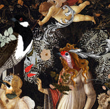 Primavera Owl - Art Print - Kristjana S Williams Studio