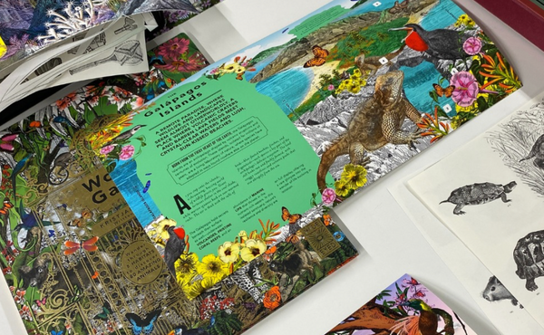 A Journey into the Fantastical Safari