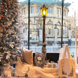 The Bodleian Frost Fair Map