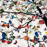 International Butterfly Tré Original Artwork - Kristjana S Williams Studio