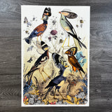 Fimm Fuglar - Artist Proof