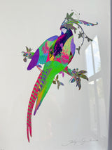 Neon Bird II - Framed Artwork - Kristjana S Williams Studio