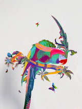 Neon Bird I - Framed Artwork - Kristjana S Williams Studio