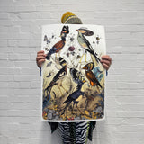 Fimm Fuglar - Artist Proof