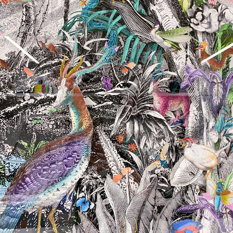 The Ink Jungle - Original Artwork - Kristjana S Williams Studio