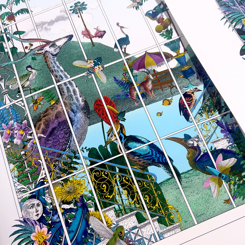 Glasshouse Voyagers II