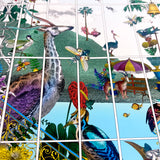 Glasshouse Voyagers II