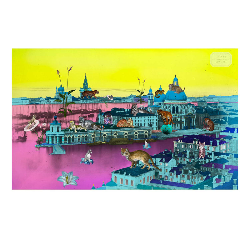 Luminous Animali Tangi - Art Print - Kristjana S Williams Studio
