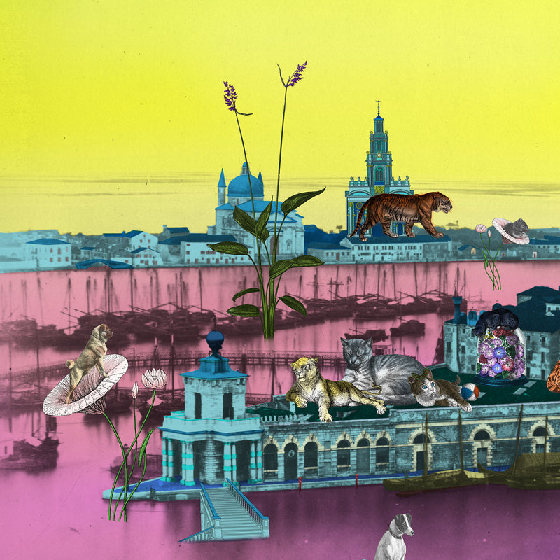 Luminous Animali Tangi - Art Print - Kristjana S Williams Studio