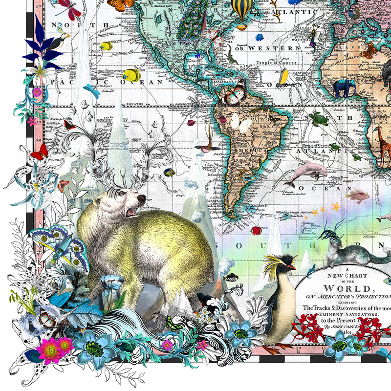 Polar Bears - Discoveries of the World - Art Print