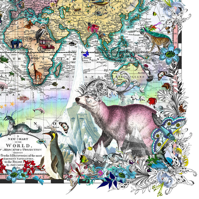 Polar Bears - Discoveries of the World - Art Print