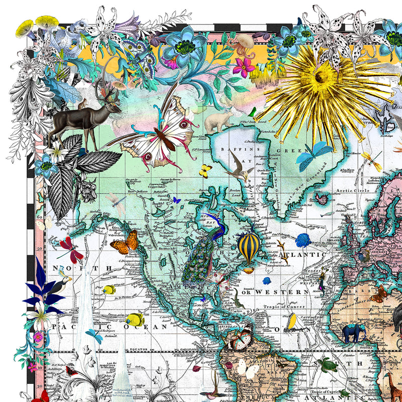 Polar Bears - Discoveries of the World - Art Print