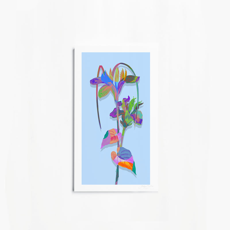 Iris in Technicolour - Art Print - Kristjana S Williams Studio