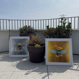 Ode To Art Bee - Silver - M - Framed Artwork - Kristjana S Williams Studio