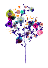 Pressed Flowers & Pets Flowers (III) - Art Print - Kristjana S Williams Studio