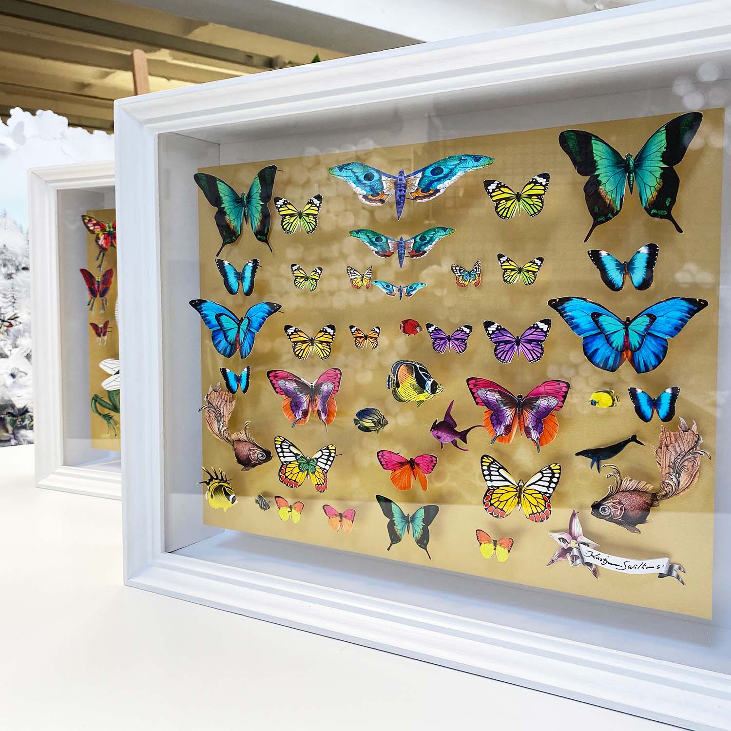 Specimen Tray Gullfiskur Original Artwork