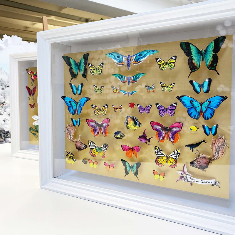 Specimen Tray - Gullfiskur - Original Artwork 2023 - Kristjana S Williams Studio