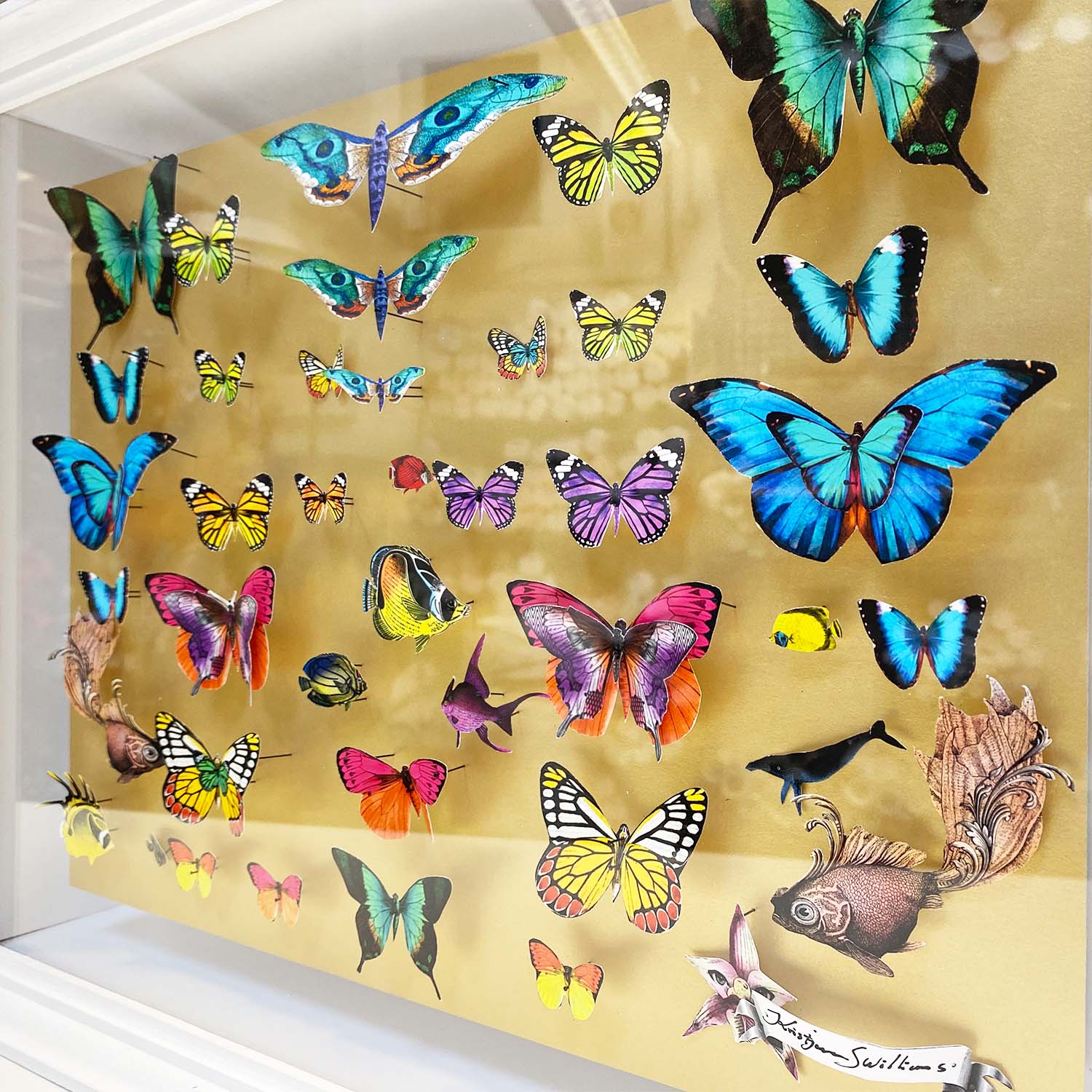 Specimen Tray Gullfiskur Original Artwork