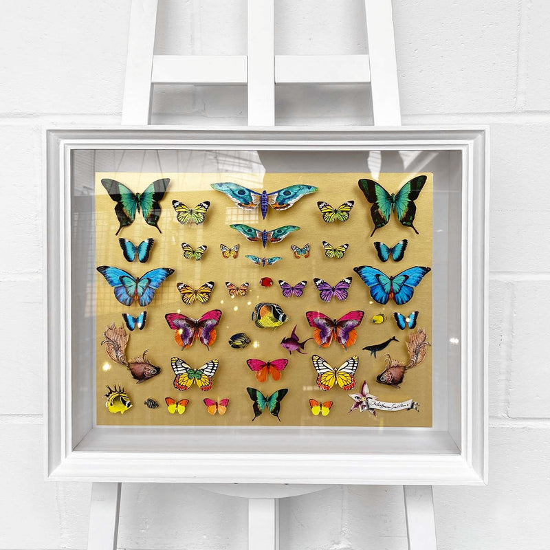 Specimen Tray - Gullfiskur - Original Artwork 2023 - Kristjana S Williams Studio