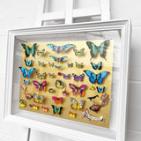 Specimen Tray - Gullfiskur - Original Artwork 2023 - Kristjana S Williams Studio