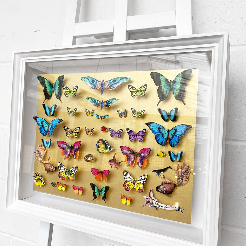 Specimen Tray - Gullfiskur - Original Artwork 2023 - Kristjana S Williams Studio