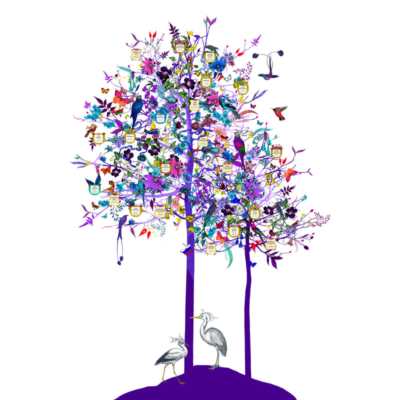 The Tree of Exploration - Art Print - Kristjana S Williams Studio