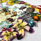 Navigators of the World - Zebra - 3D Hybrid Artwork