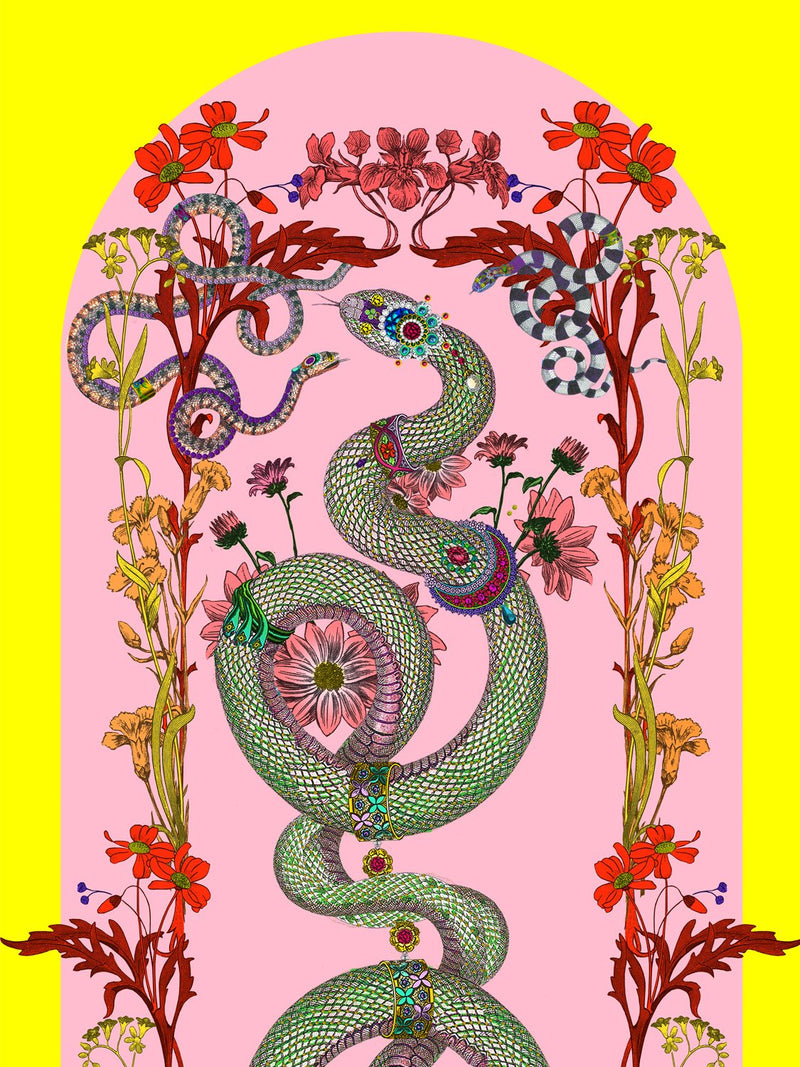 Adorned Snakar Wallpaper - Kristjana S Williams Studio