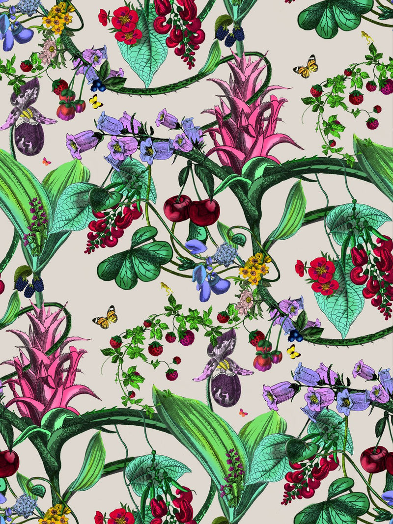 Kirsuberja Vines Wallpaper - Ecru - Kristjana S Williams Studio